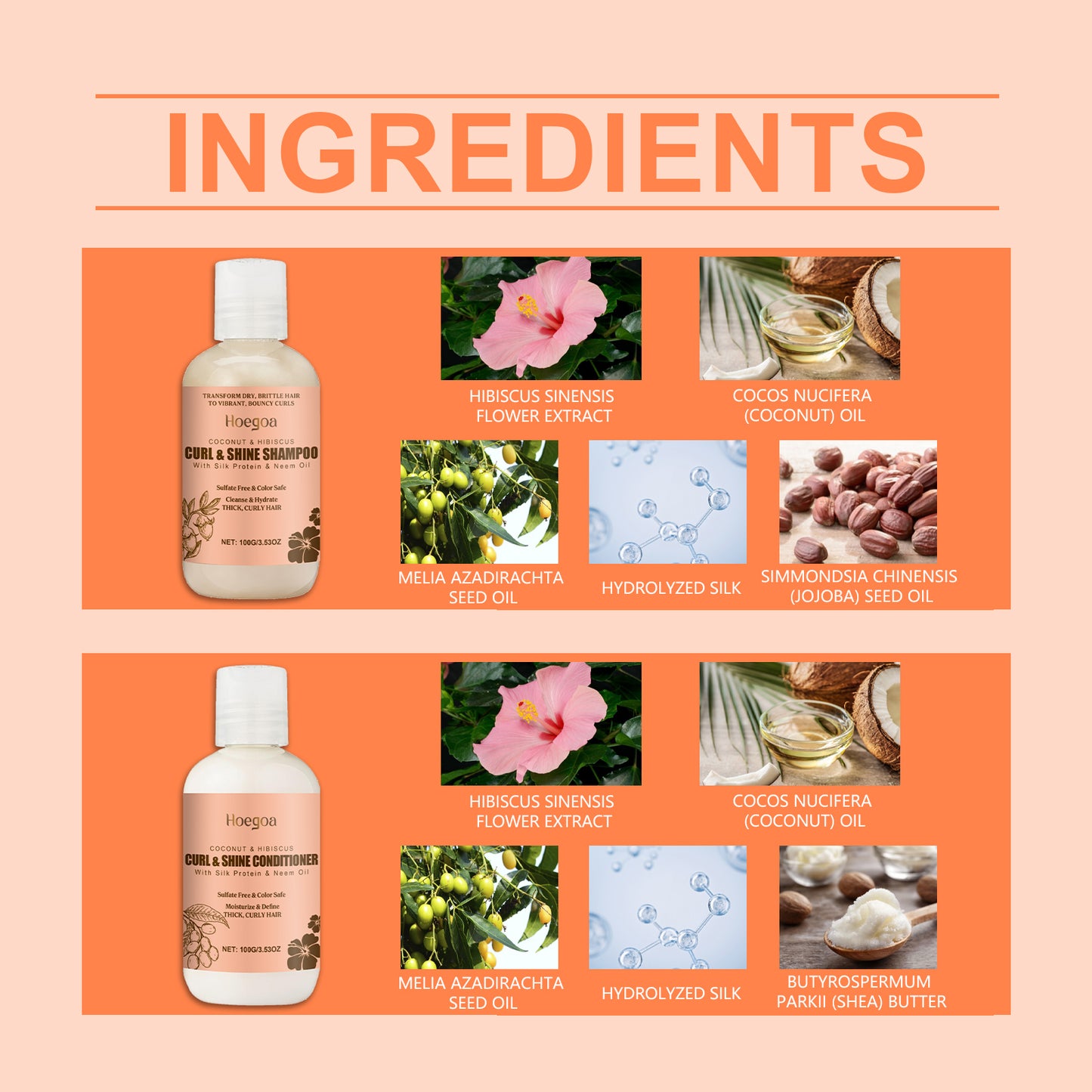 Coconut Moisturizing Shampoo Set - Treasured Gift's & More