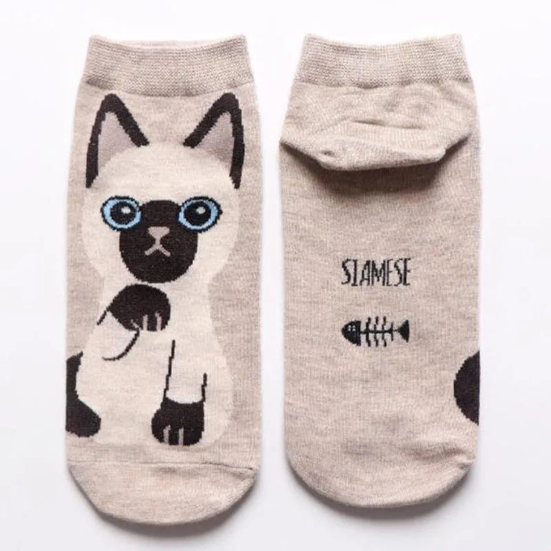 5 Pairs/Set Women's Cartoon Cute Cat Ankle Socks