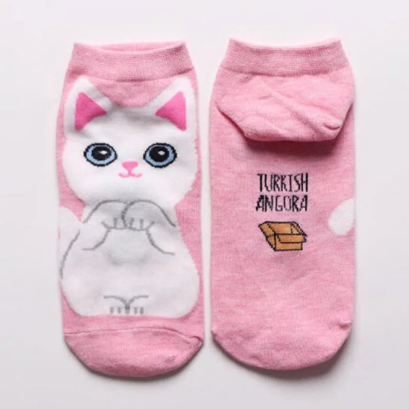 5 Pairs/Set Women's Cartoon Cute Cat Ankle Socks