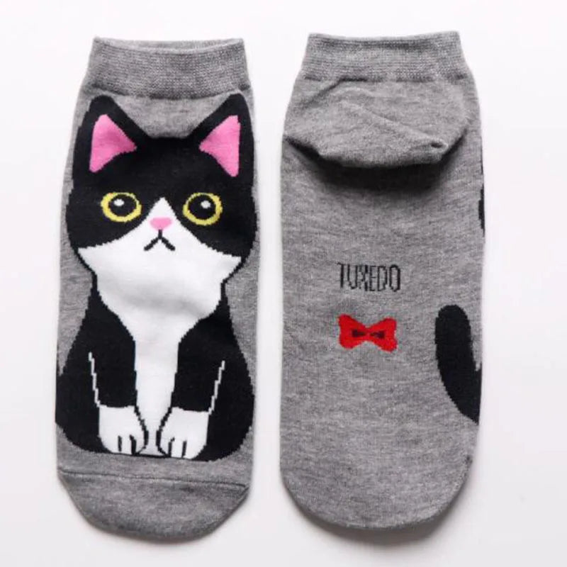 5 Pairs/Set Women's Cartoon Cute Cat Ankle Socks